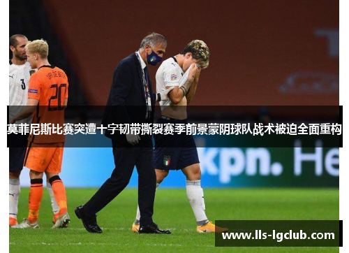 莫菲尼斯比赛突遭十字韧带撕裂赛季前景蒙阴球队战术被迫全面重构