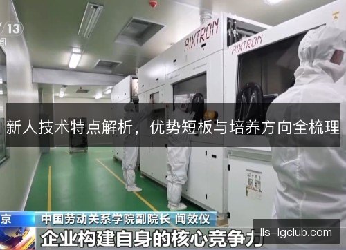 新人技术特点解析,优势短板与培养方向全梳理 新人技术特点解析,优势短板与培养方向全梳理