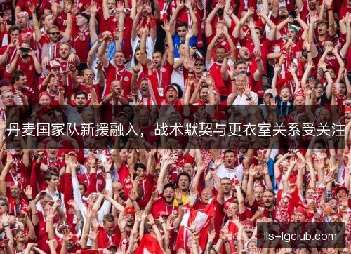 丹麦国家队新援融入，战术默契与更衣室关系受关注
